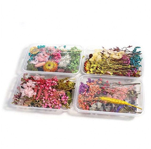 Natural Real Dried Flowers for Art Craft